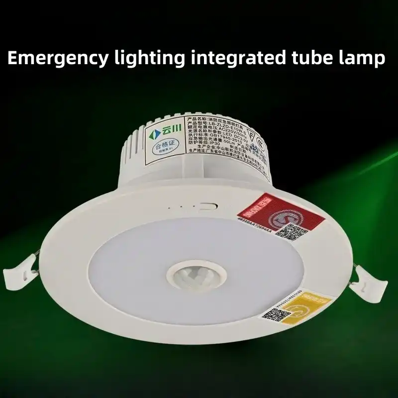 What are the types of emergency lights?